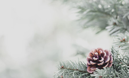 Christmas Fayre Menus