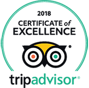 tripadvisor